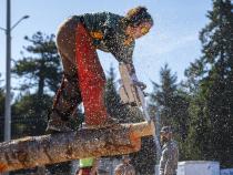 In addition to competitions like the conclave, the University’s Logging Sports team uses traditional and modern logging equipment and sustainable timber harvesting and management practices.