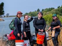 Fisheries Biology grad students research on what otter's eat at the Arcata Marsh.