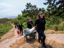 Fisheries Biology grad students research on what otter's eat at the Arcata Marsh.