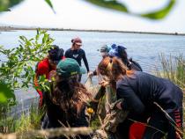 Fisheries Biology grad students research on what otter's eat at the Arcata Marsh.