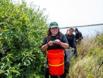 Fisheries Biology grad students research on what otter's eat at the Arcata Marsh.