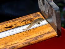 A photo of Fisheries Biology students measuring a fish from the Arcata Marsh.