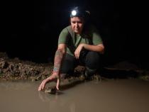 Brazilian graduate student Gisele Ferreira reaches for a specimen of Cane Toad (Rhinella marina), found on the western side of Marajó. Photo by Pedro Peloso.