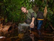 Hannah Wirth (‘24, Biology) conducts field sampling in Marajó during a research excursion in December 2024 and January 2025. Photo by Pedro Peloso.