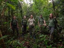 The researchers traveled to Marajó Island to collect specimens on the western side of the island in December 2024 and January 2025. They focused on 7 species: Orange-legged Leaf Frog, Steindachner’s Dwarf Frog, the Bridled Forest Gecko, Brown-eared Anole, Woodall’s Slender Opossum, the Marajó Bristly Mouse, and the Brazilian Squirrel. Photo by Pedro Peloso.