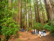 From funk to forests, Lumberjack Weekend capped off with a peaceful hike through the redwoods, complete with breakfast from Los Bagels and the community of Cal Poly Humboldt students, alumni, and friends and family.