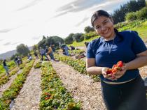 Members of the Cal Poly Humboldt community got their hands dirty for a good cause, volunteering at Potawot Community Garden as part of the Lumberjack Weekend Day of Service.