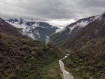 The new species of water mouse was discovered in the cloud forest of Peru, a UNESCO World Heritage site.